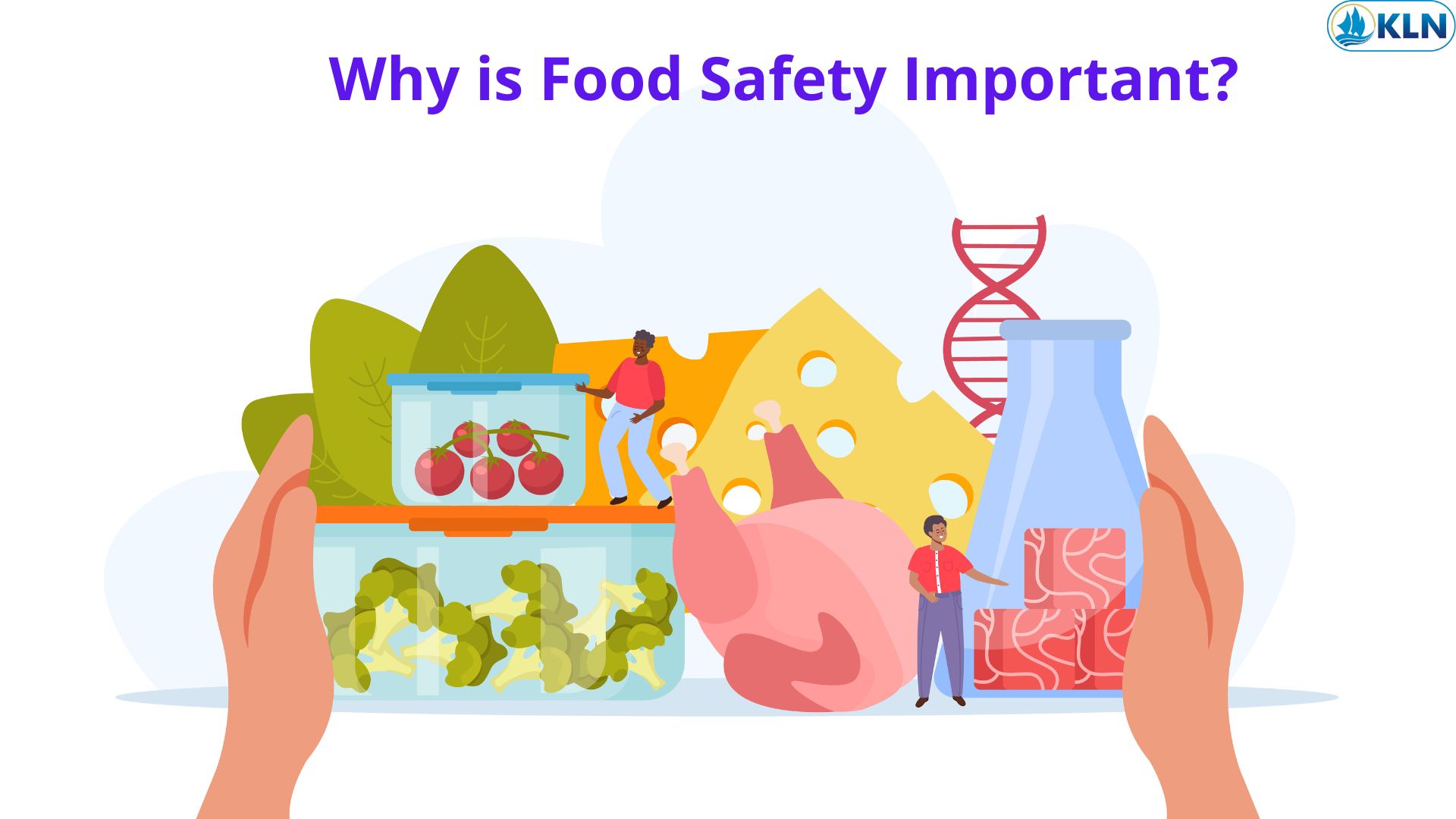 Why is Food Safety Important?
